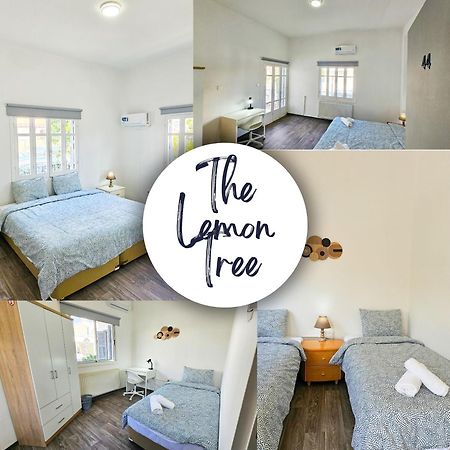 The Lemon Tree Hostel لارنكا المظهر الخارجي الصورة