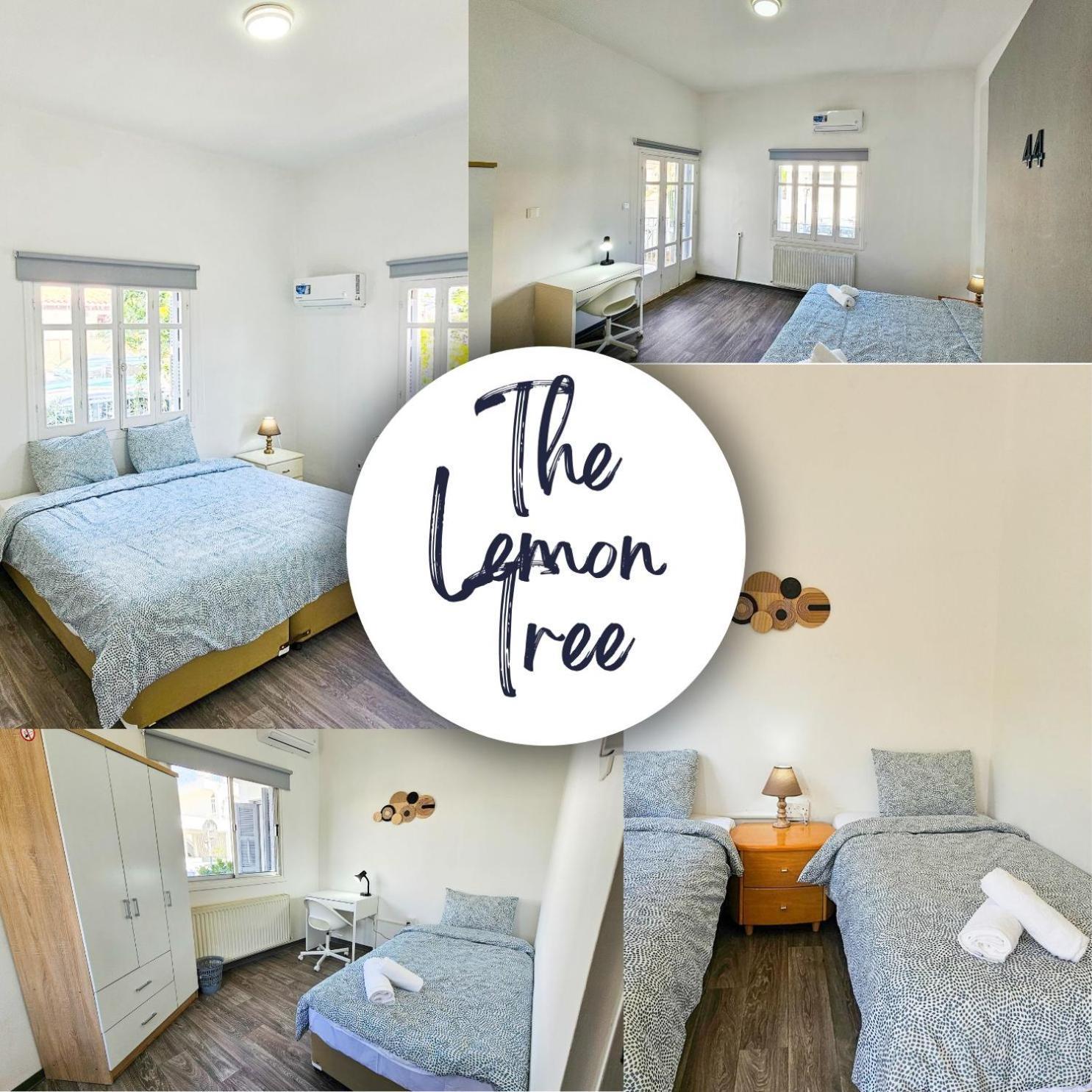 The Lemon Tree Hostel لارنكا المظهر الخارجي الصورة